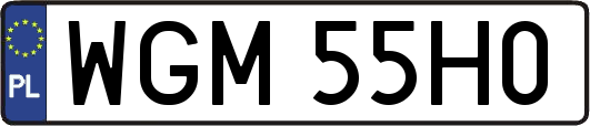 WGM55H0