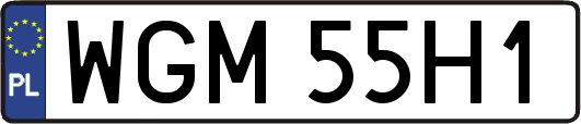 WGM55H1