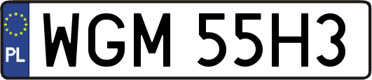 WGM55H3