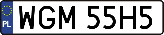 WGM55H5