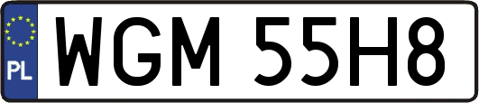 WGM55H8