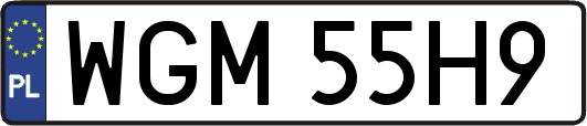 WGM55H9