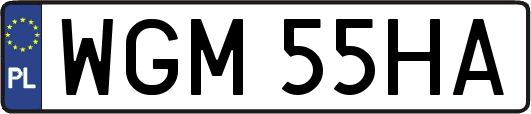 WGM55HA