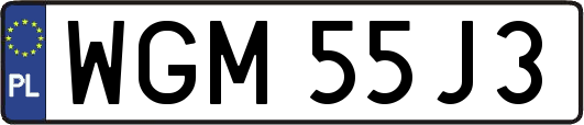 WGM55J3