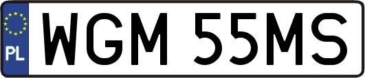 WGM55MS