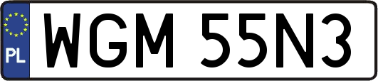 WGM55N3