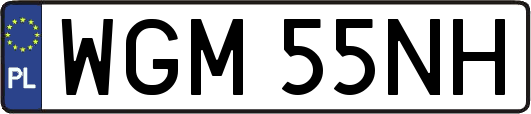WGM55NH