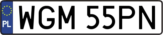 WGM55PN