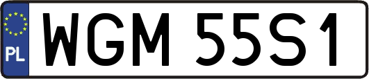 WGM55S1