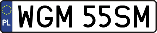 WGM55SM