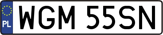 WGM55SN