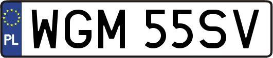 WGM55SV