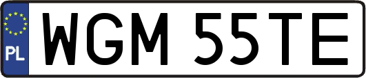 WGM55TE