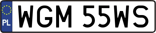 WGM55WS