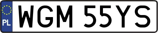 WGM55YS