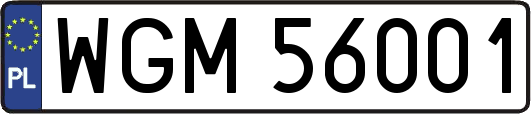WGM56001