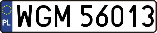 WGM56013