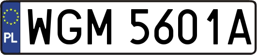 WGM5601A
