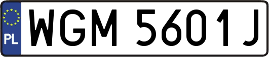 WGM5601J