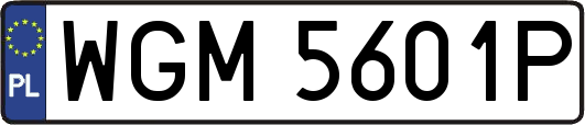 WGM5601P