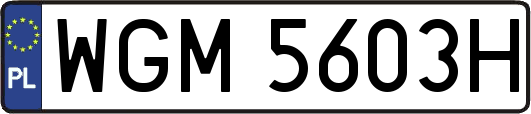 WGM5603H