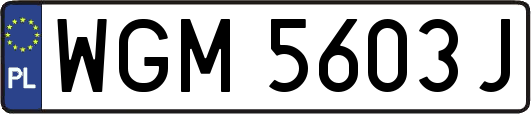WGM5603J