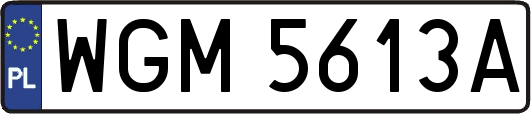 WGM5613A