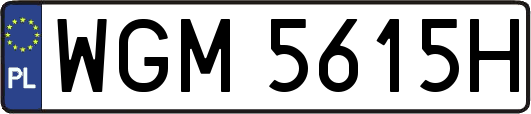 WGM5615H