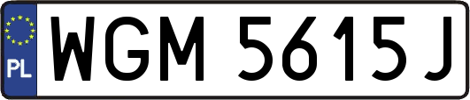 WGM5615J