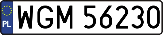 WGM56230