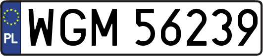 WGM56239