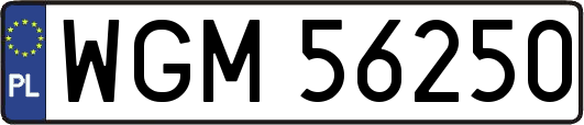 WGM56250