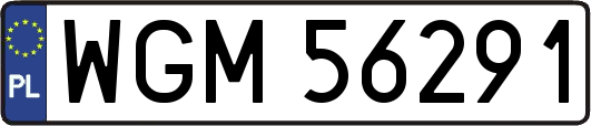 WGM56291