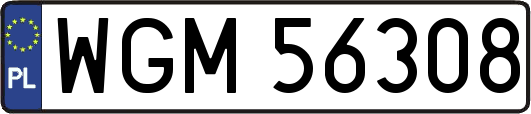 WGM56308