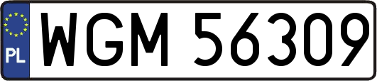 WGM56309