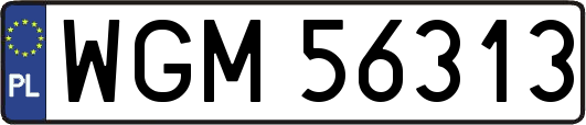 WGM56313