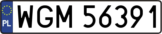 WGM56391