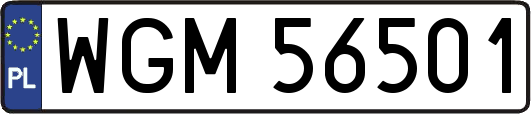 WGM56501