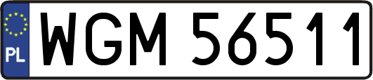 WGM56511