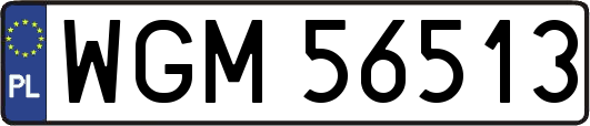 WGM56513
