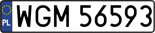 WGM56593