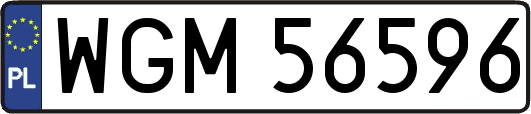 WGM56596