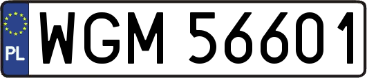 WGM56601