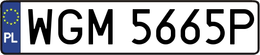 WGM5665P