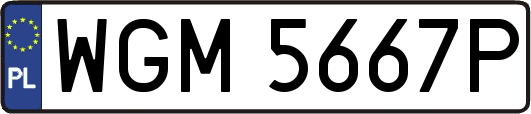 WGM5667P