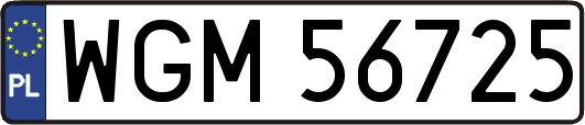 WGM56725