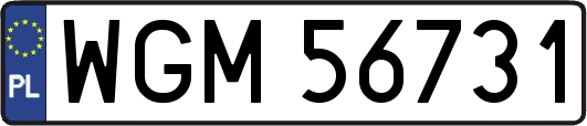WGM56731