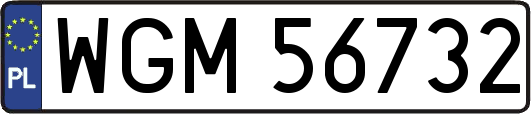 WGM56732
