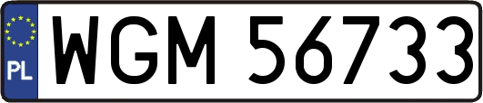 WGM56733