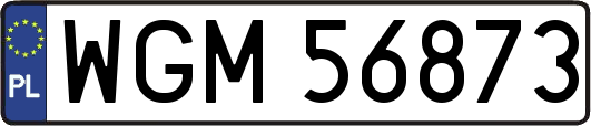 WGM56873